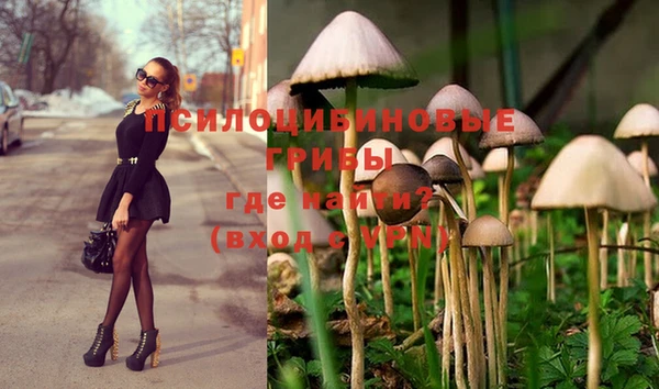 бутират Липки