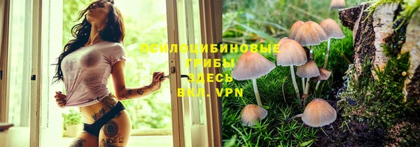 бутират Липки
