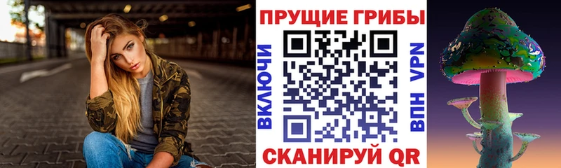 сколько стоит  Нягань  Псилоцибиновые грибы прущие грибы 